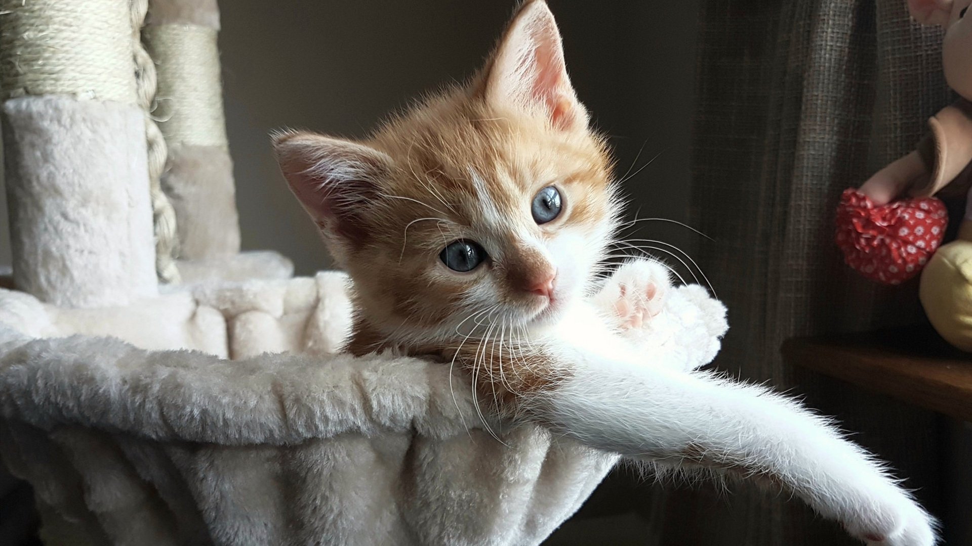 当冰川撞见雨林,莫德里奇在冰岛与尼日利亚的夹缝中奏响足球的绝对音准