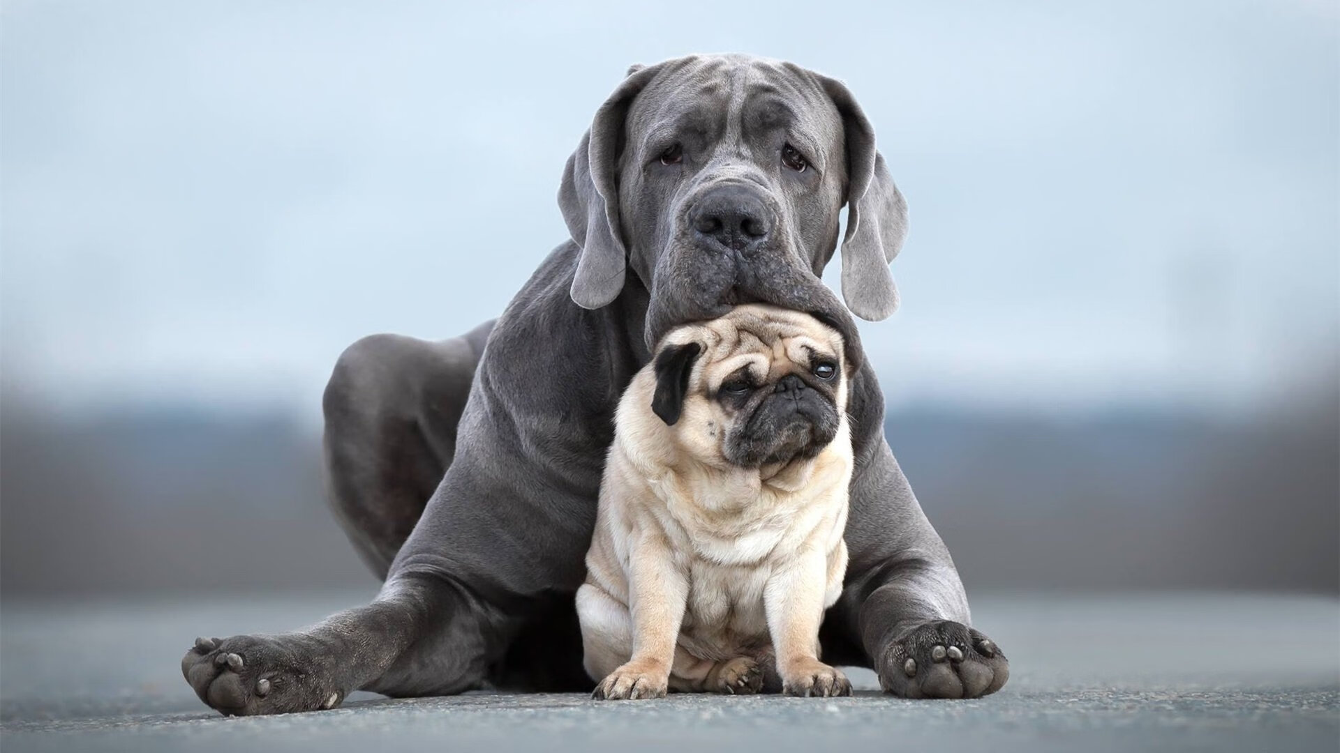 冰与火之歌，哈登的61分烈焰与底特律的无声绞杀