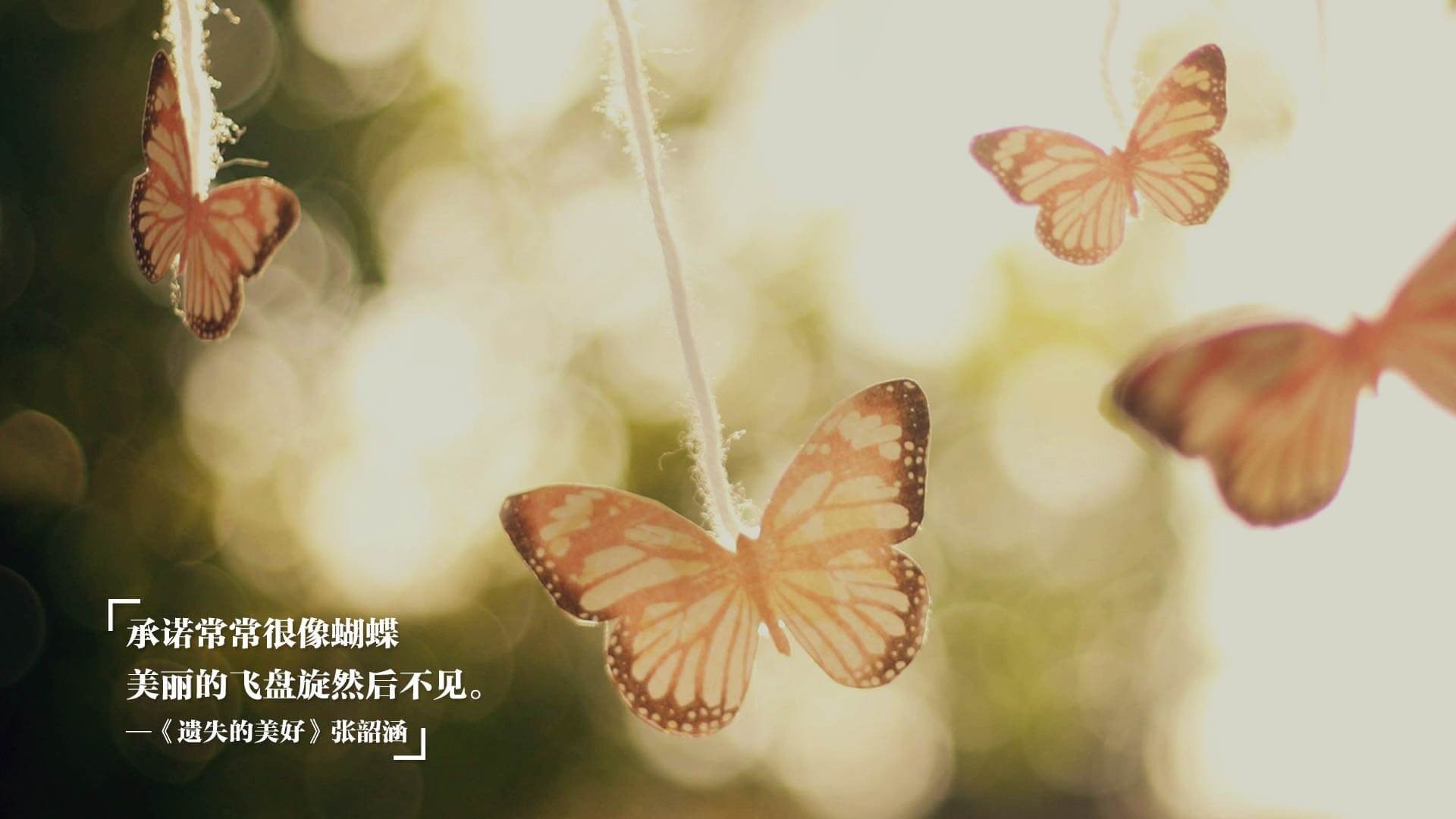 玻利维亚的战术革命,拉亚的攻防转换核心如何粉碎切尔西