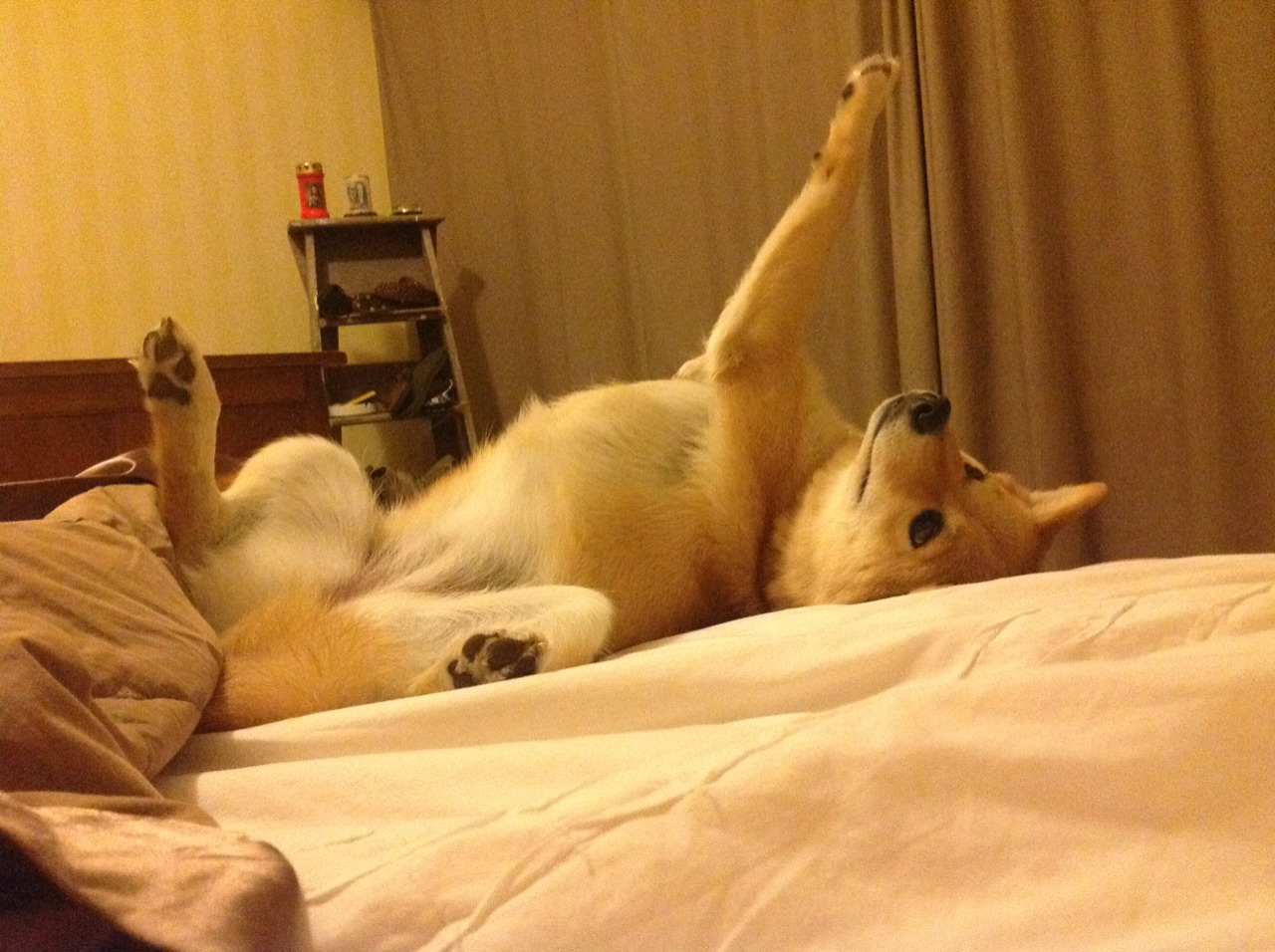 从智利到塞维利亚，当基米希成为两个足球世界的奇妙连接点