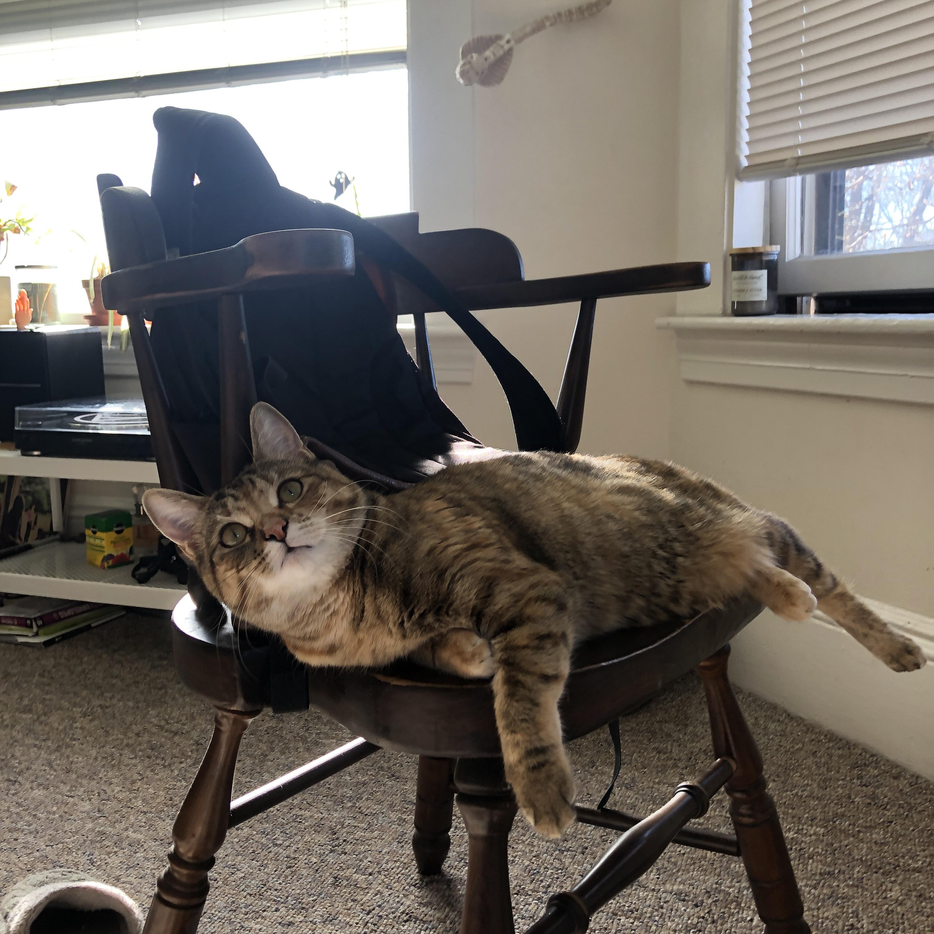 一剑封喉!布雷默绝杀助多特蒙德强势晋级,里昂饮恨