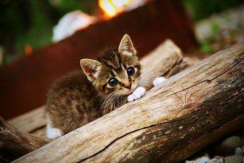 开云体育平台APP-冰与火的协奏，当冰岛在绿茵突围，本泽马在街道接管