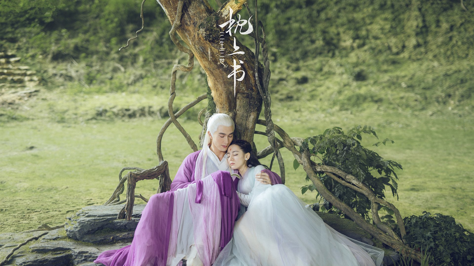 绿茵交响,从德布劳内的完美独奏到新西兰的战术合鸣