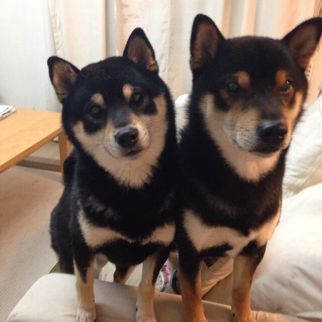 双重法比尼奥的魔力,利物浦基石闪耀,伊拉克新星爆发,亚洲铁军稳稳拿捏希腊神话