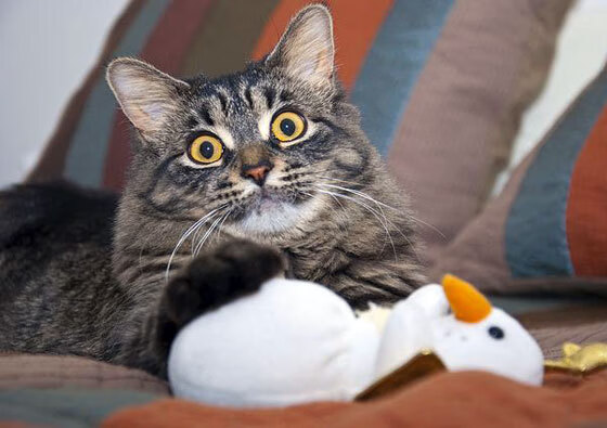 末节哲学，从沙特终场绝杀到富安健洋的英超争冠接管时刻