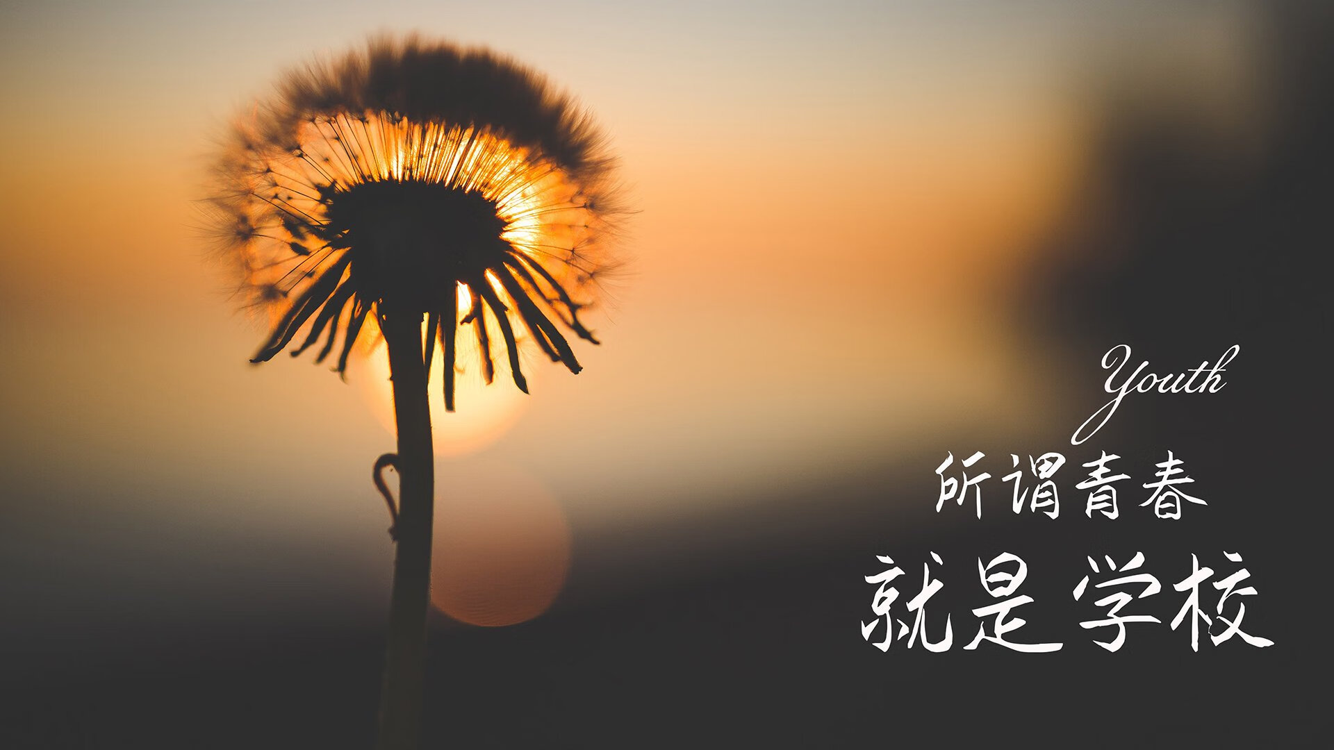玻利维亚黑马席卷F1揭幕战,摩纳哥赛道传统格局遭颠覆