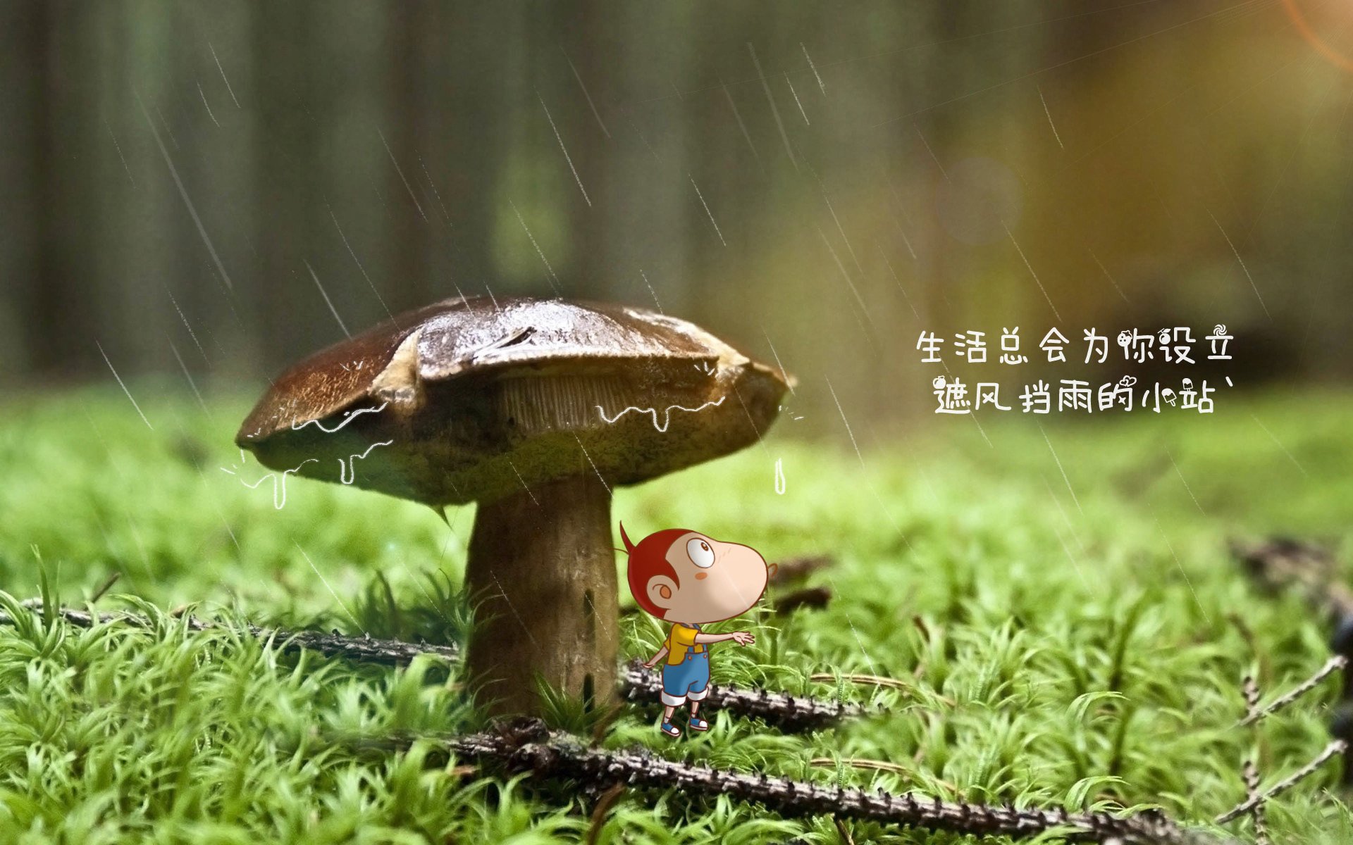 高原之殇与蓝衣陨落,2026,那场被红魔主导的复仇剧本